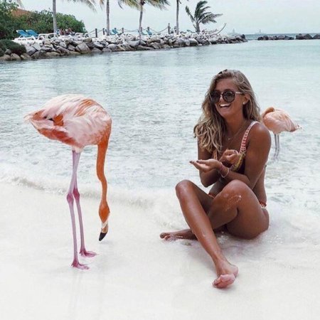 Кайо коко фламинго