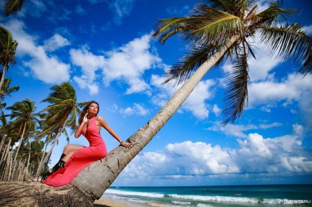 Девушка на пальме