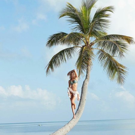 Девушка на пальме