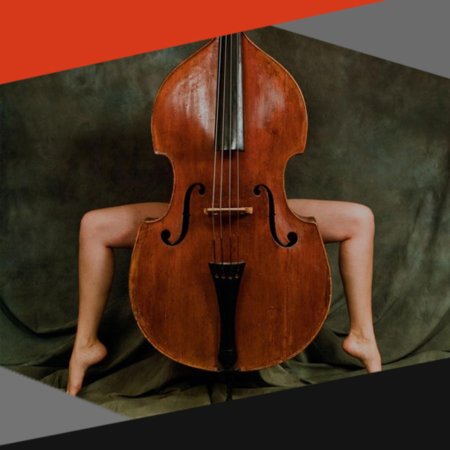 Контрабас инструмент