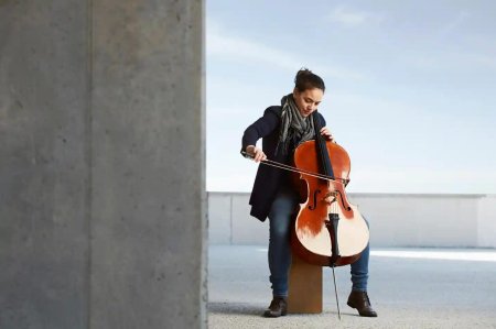 Музыкальный инструмент виолончель