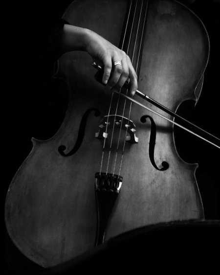 Контрабас виолончель