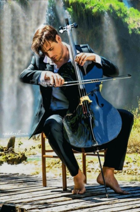 Виолончелист степан хаузер