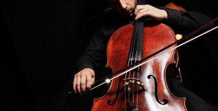 Виолончель страдивари