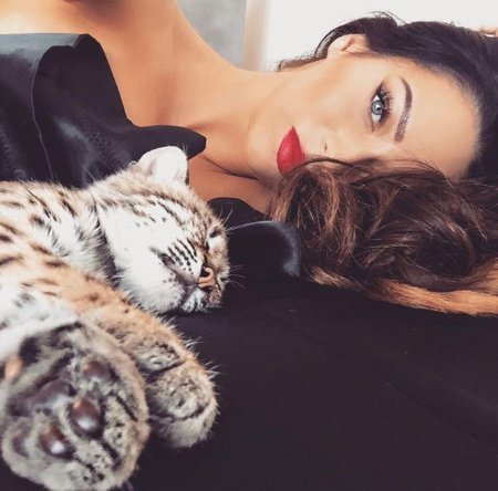 Фотосессия с кошкой