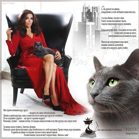 Ева лонгория шеба