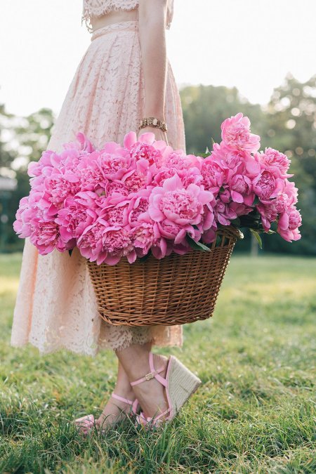 Фотосессия с пионами