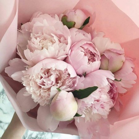 Пудровые пионы