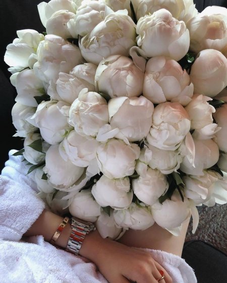 Белые пионы