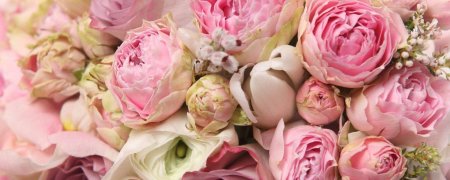 Нежные пионы