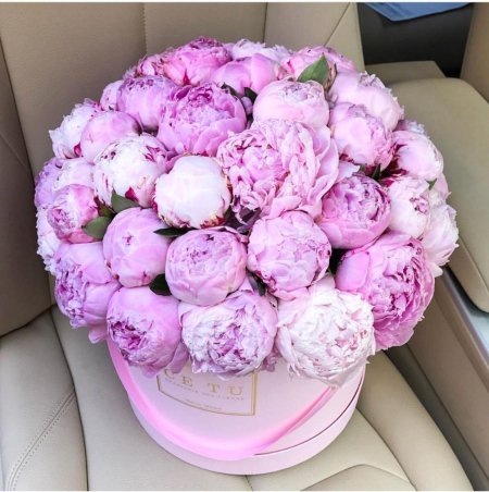 Пиони пинк (peony pink)
