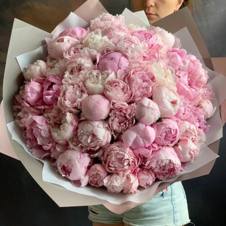 Пионов сара бернар