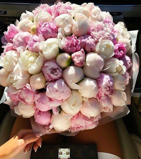 Букет пионов