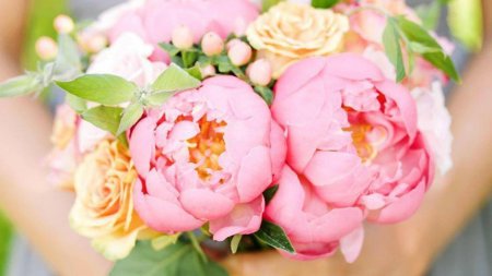 Монобукет - пионы