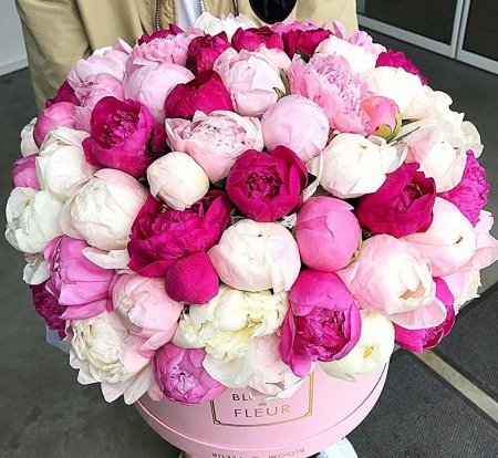 Розоподобные пионы