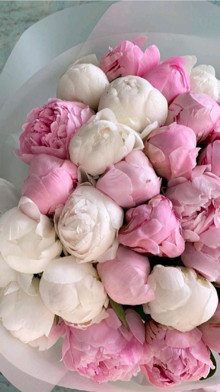 Букет разноцветных пионов