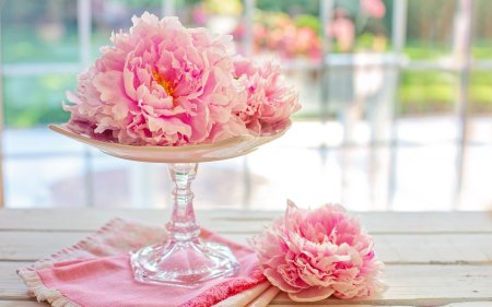 Нежные пионы