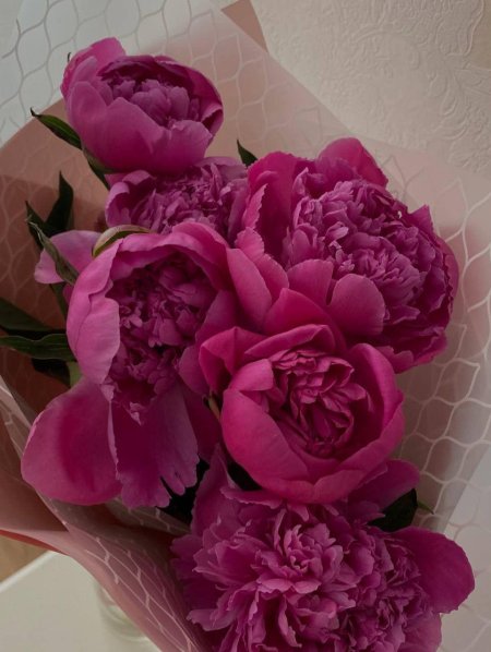 Малиновые пионы