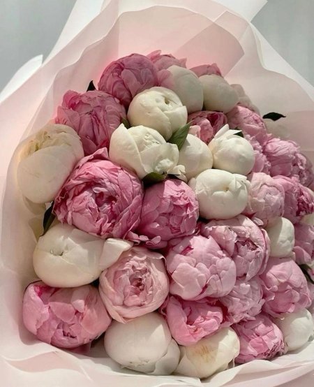 Розовые пионы букет