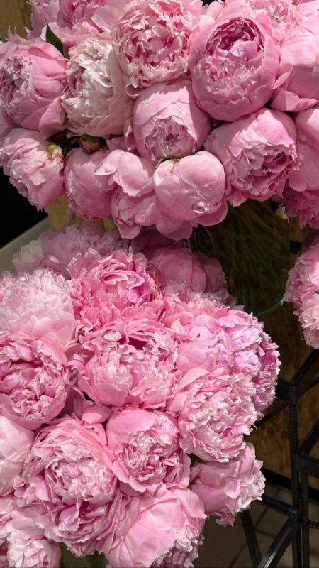 Пиона букет