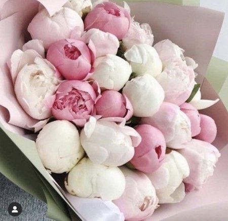 Пионы букет лакшери