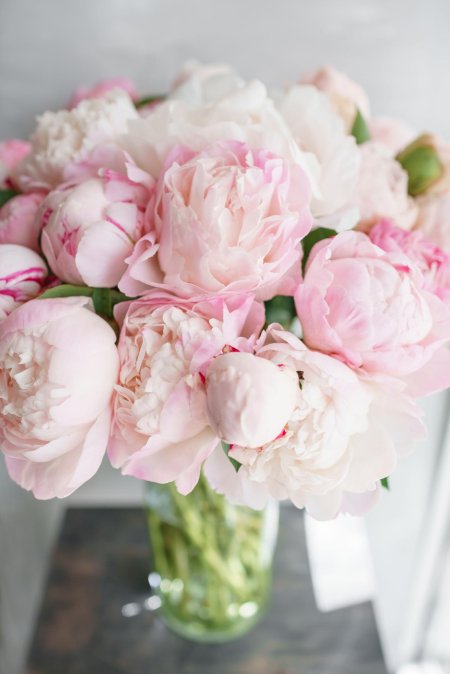 Пионы нераспустившиеся букет