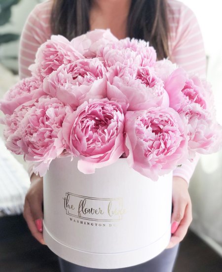 Пионы сара бернар в коробке