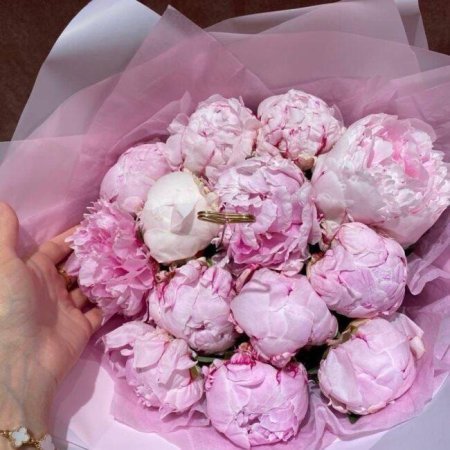 Пион сара бернар