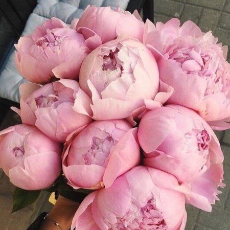 Букет пионов пионы