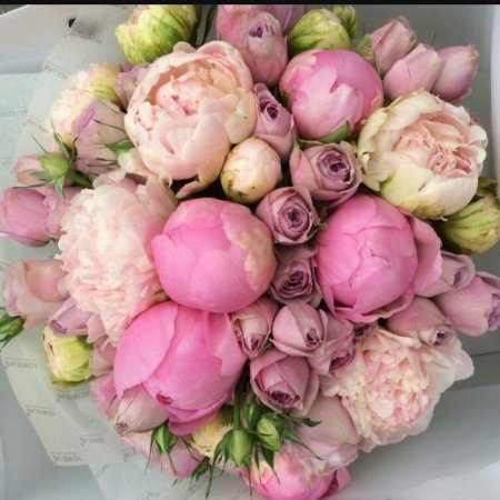 Пионы и пионовидные розы