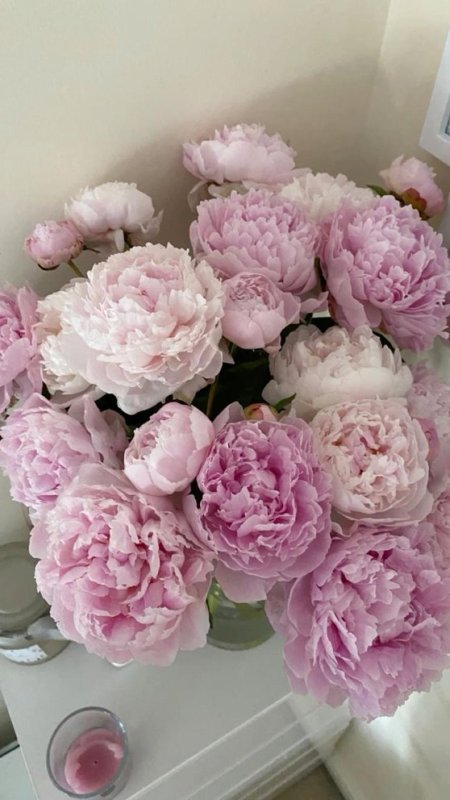 Цветочки пионы