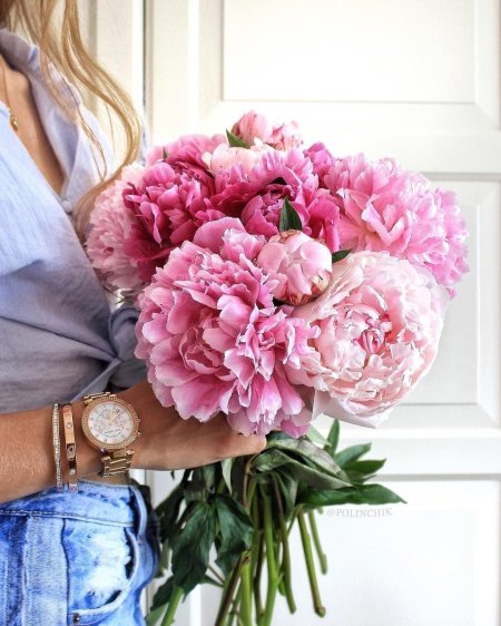 Девушка с пионами