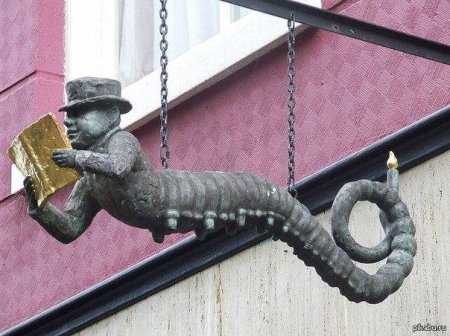 Необычные вывески