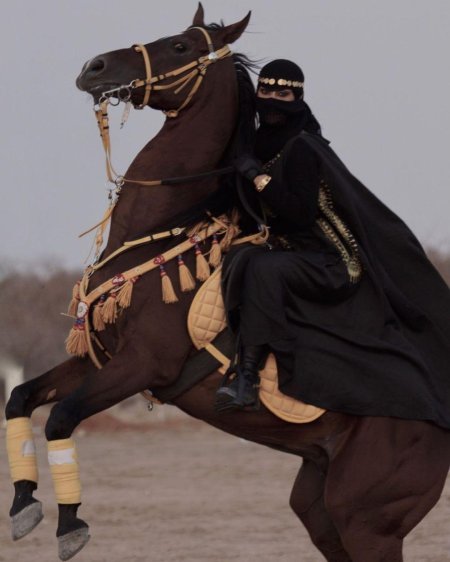 Арабская лошадь