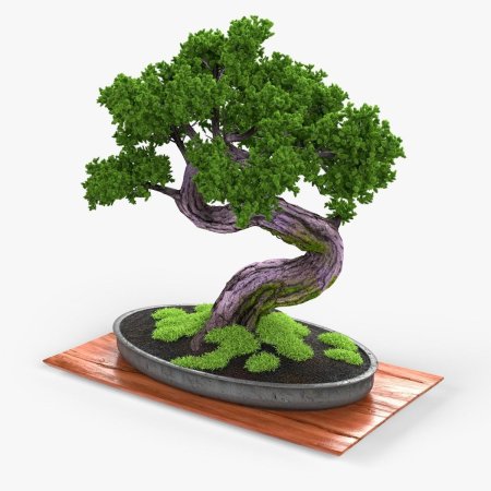 Бонсай ёсэ-уэ