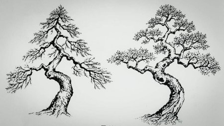 Бонсай рисунок