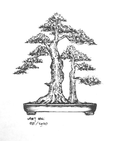 Дерево бонсай трафарет