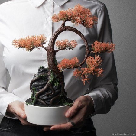 Бонсай на скале