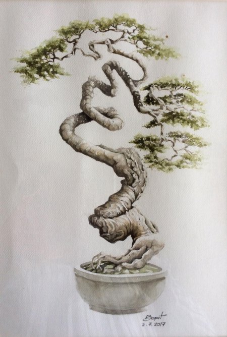 Бонсай в живописи