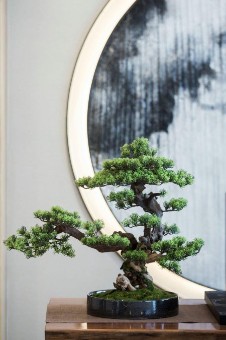 Японское дерево бонсай