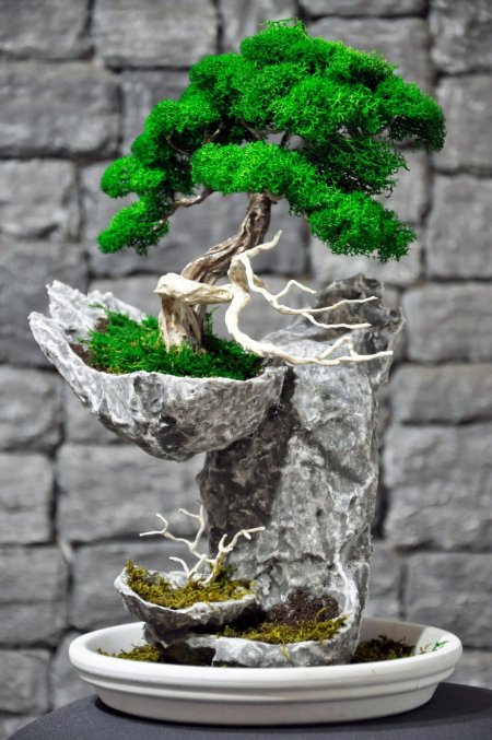 Бансай или бонсай