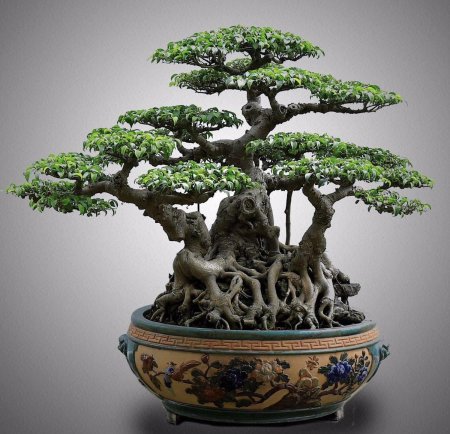 Бонсай жасмин