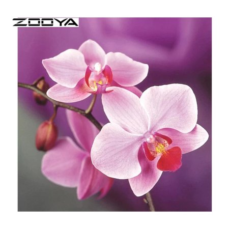 Фаленопсис mosaic