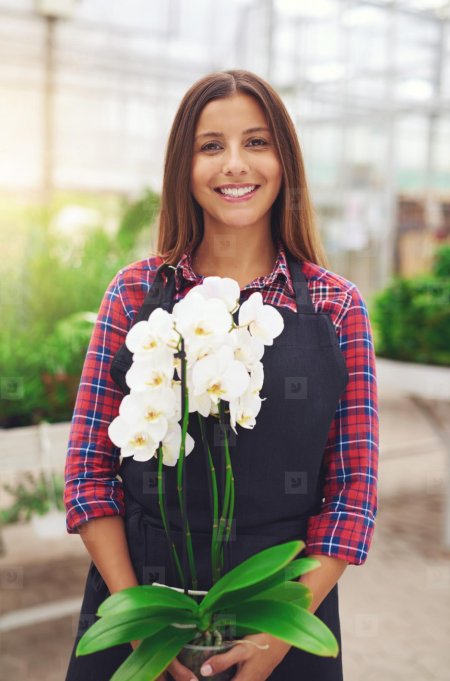 Девушка с орхидеей