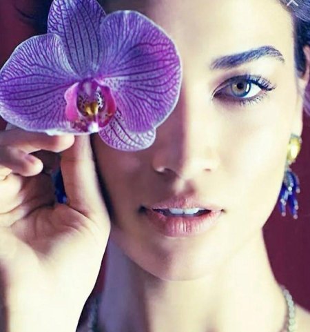 Орхидея катрина