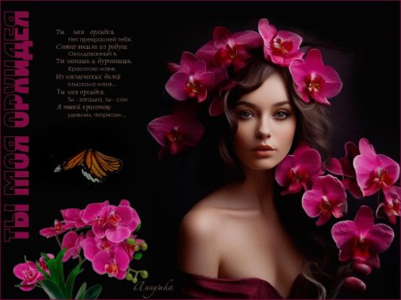 Орхидеи красивые