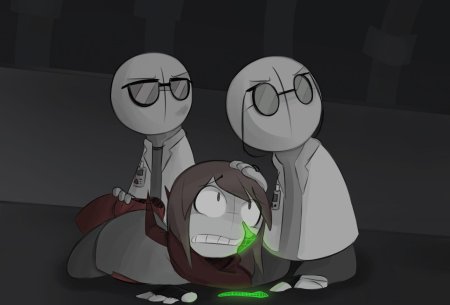 Доктор хоффнар madness combat