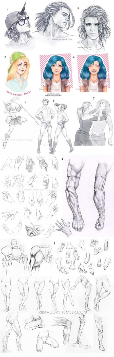 Анатомия человека для рисования