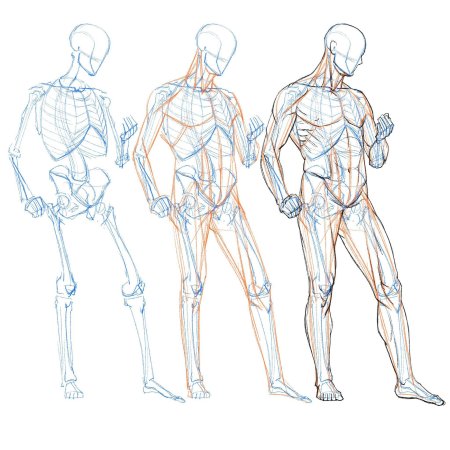 Тело человека набросок