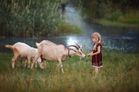 Коза с козленком